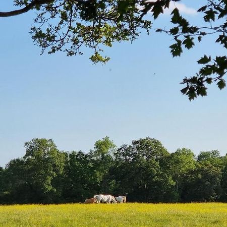 Charming 3 Bed Cottage With Beautiful Rural Views Southwater Exterior foto